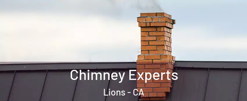 Chimney Experts Lions - CA
