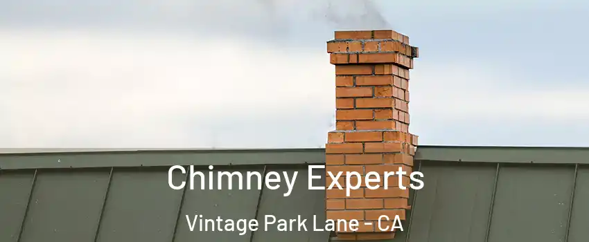 Chimney Experts Vintage Park Lane - CA