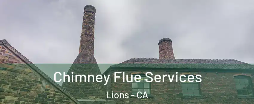Chimney Flue Services Lions - CA