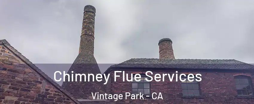 Chimney Flue Services Vintage Park - CA