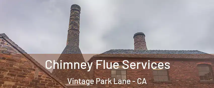 Chimney Flue Services Vintage Park Lane - CA