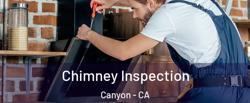 Chimney Inspection Canyon - CA