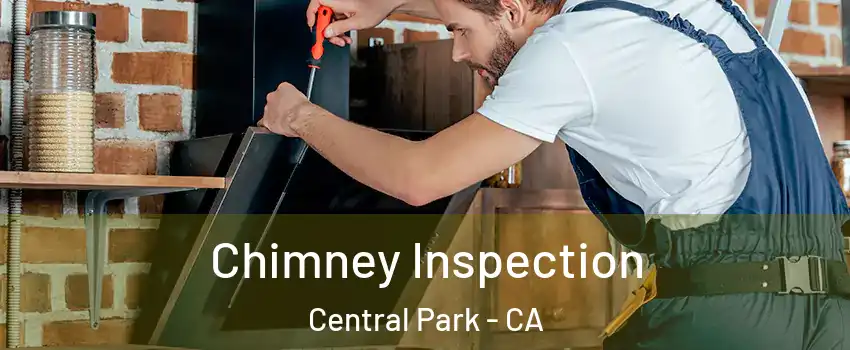 Chimney Inspection Central Park - CA