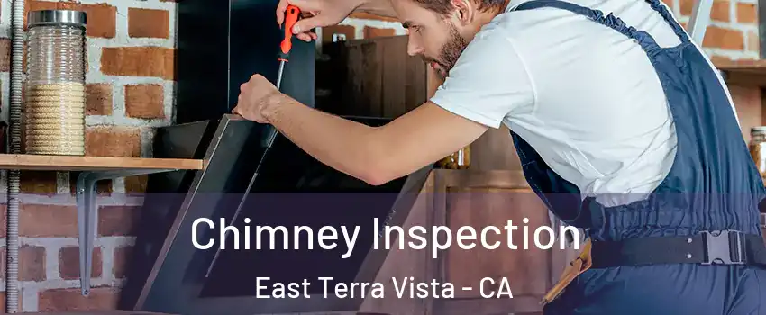 Chimney Inspection East Terra Vista - CA
