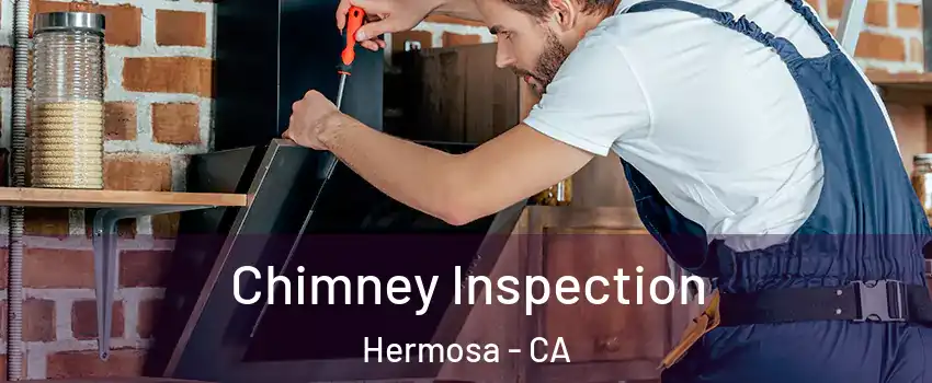 Chimney Inspection Hermosa - CA