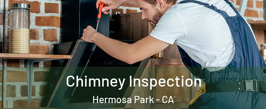 Chimney Inspection Hermosa Park - CA