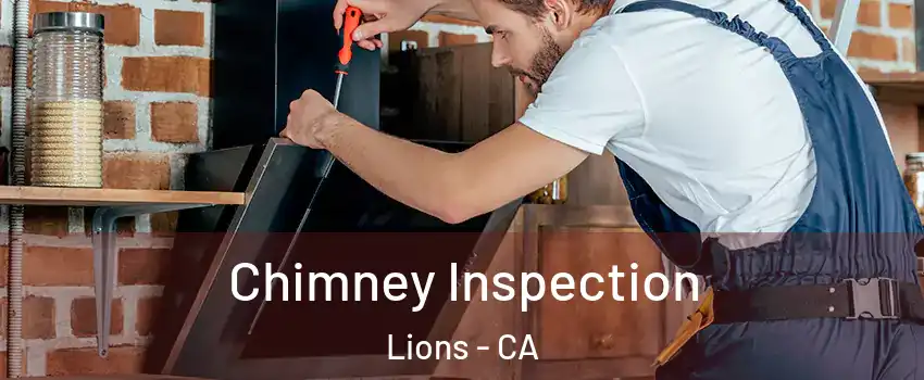 Chimney Inspection Lions - CA