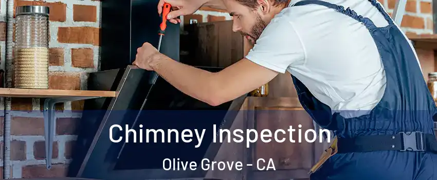 Chimney Inspection Olive Grove - CA