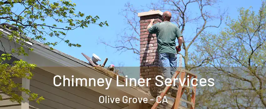 Chimney Liner Services Olive Grove - CA
