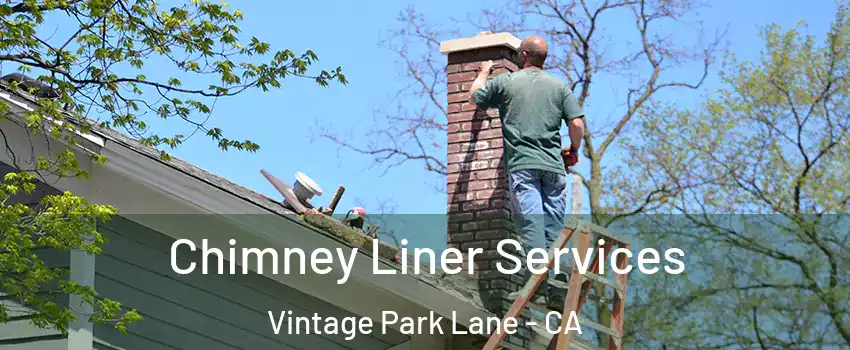 Chimney Liner Services Vintage Park Lane - CA