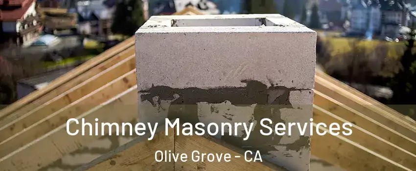 Chimney Masonry Services Olive Grove - CA