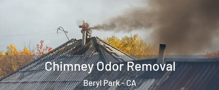 Chimney Odor Removal Beryl Park - CA