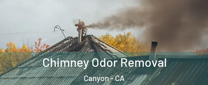 Chimney Odor Removal Canyon - CA