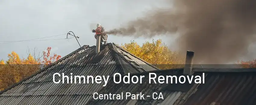 Chimney Odor Removal Central Park - CA