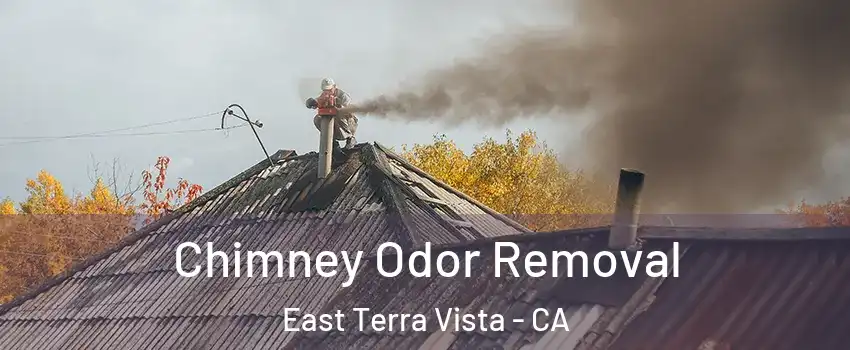 Chimney Odor Removal East Terra Vista - CA