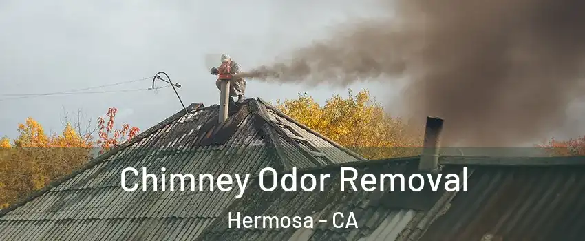 Chimney Odor Removal Hermosa - CA