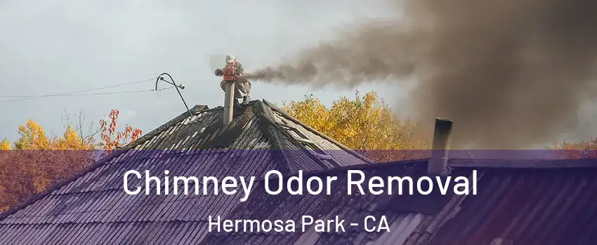 Chimney Odor Removal Hermosa Park - CA