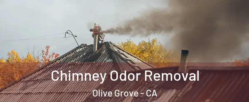 Chimney Odor Removal Olive Grove - CA