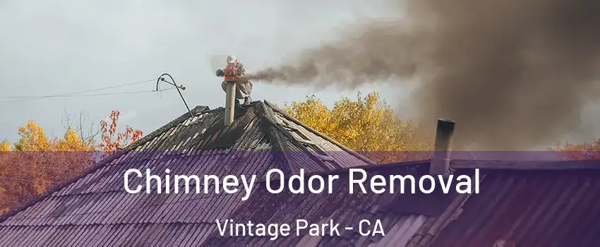 Chimney Odor Removal Vintage Park - CA