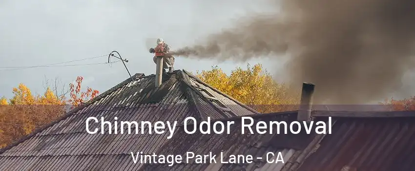 Chimney Odor Removal Vintage Park Lane - CA