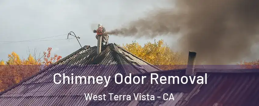 Chimney Odor Removal West Terra Vista - CA