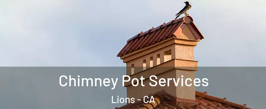 Chimney Pot Services Lions - CA