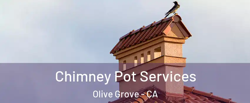 Chimney Pot Services Olive Grove - CA
