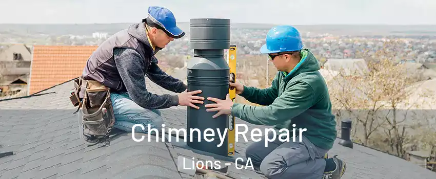 Chimney Repair Lions - CA