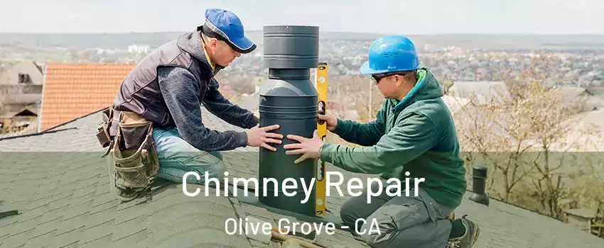 Chimney Repair Olive Grove - CA