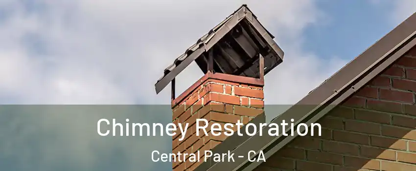Chimney Restoration Central Park - CA
