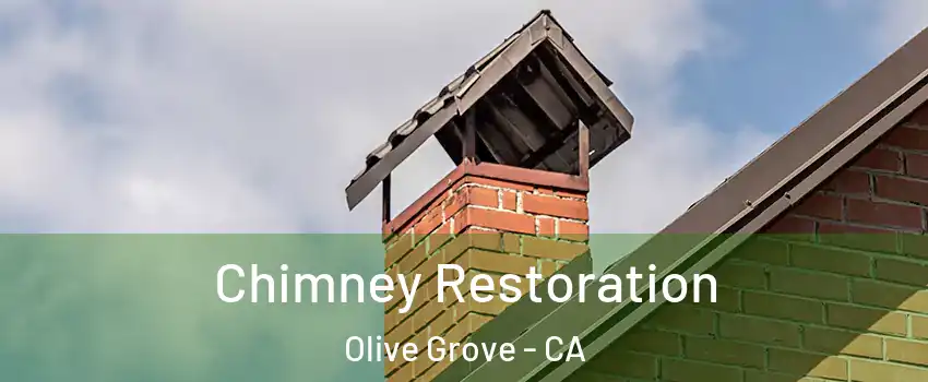 Chimney Restoration Olive Grove - CA