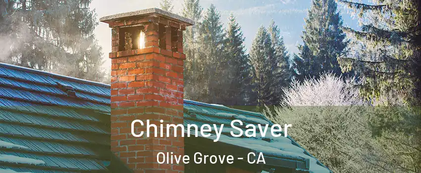 Chimney Saver Olive Grove - CA