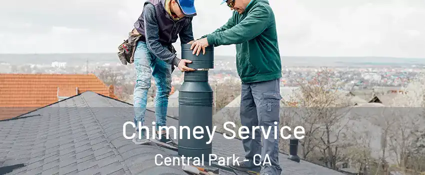 Chimney Service Central Park - CA