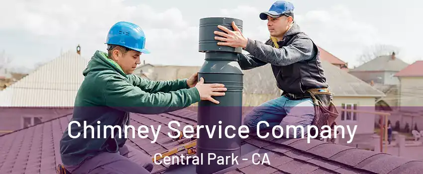 Chimney Service Company Central Park - CA