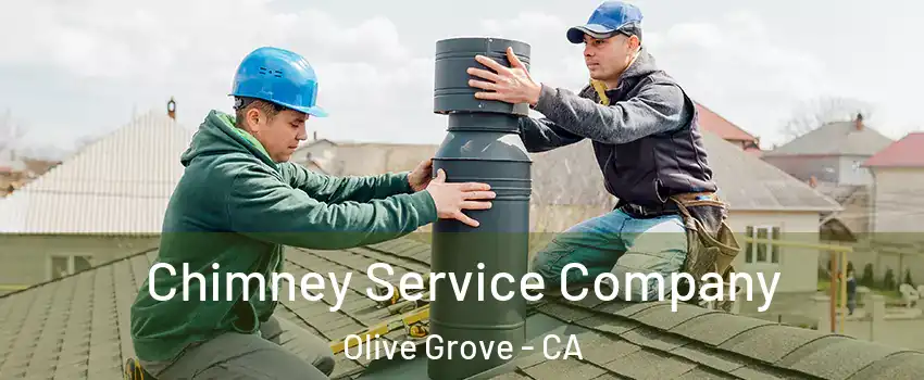 Chimney Service Company Olive Grove - CA
