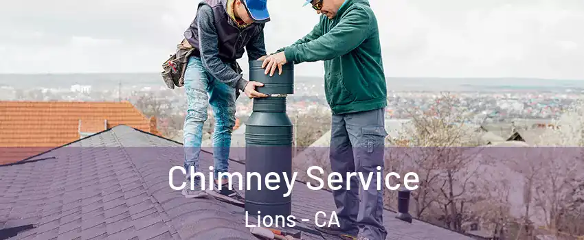 Chimney Service Lions - CA