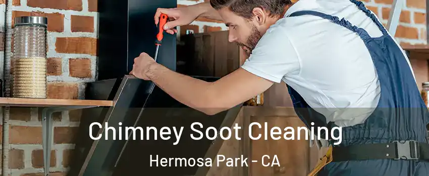 Chimney Soot Cleaning Hermosa Park - CA
