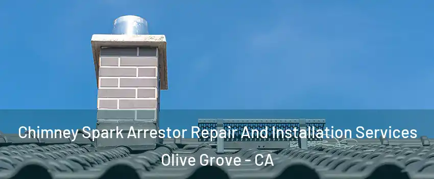 Chimney Spark Arrestor Repair And Installation Services Olive Grove - CA
