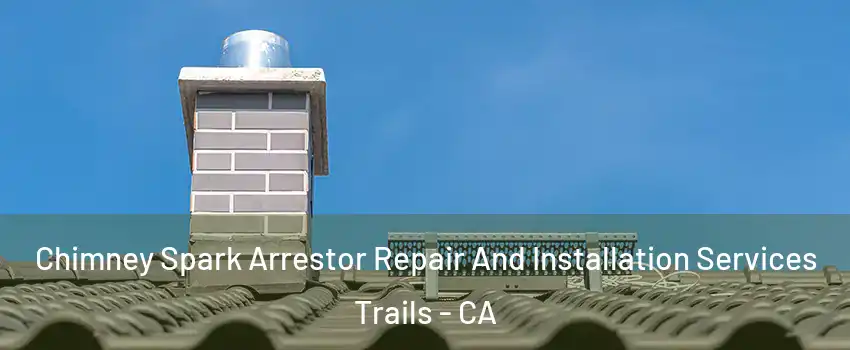 Chimney Spark Arrestor Repair And Installation Services Trails - CA