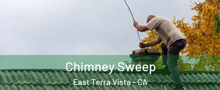 Chimney Sweep East Terra Vista - CA