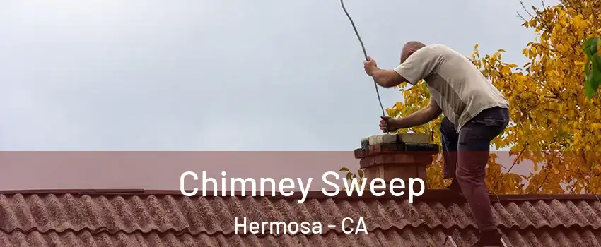 Chimney Sweep Hermosa - CA