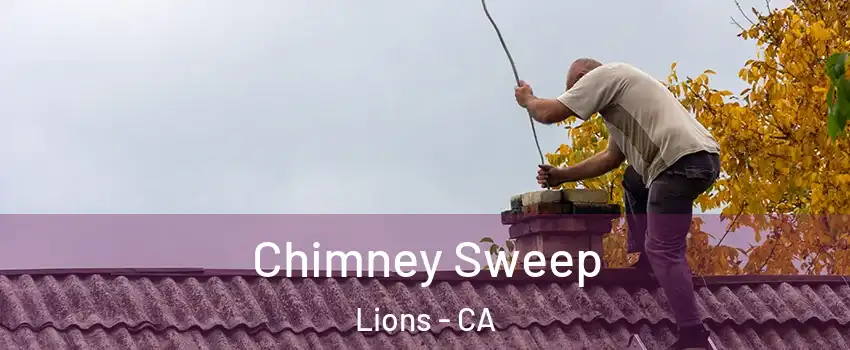 Chimney Sweep Lions - CA