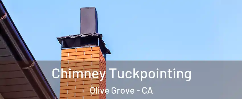Chimney Tuckpointing Olive Grove - CA