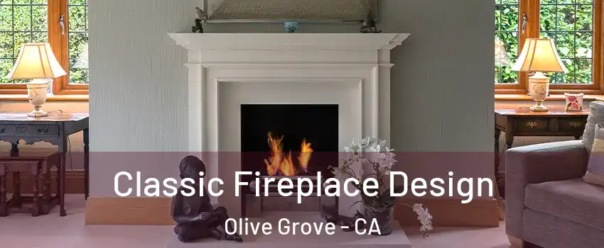 Classic Fireplace Design Olive Grove - CA