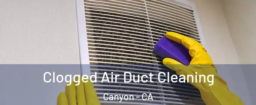 Clogged Air Duct Cleaning Canyon - CA