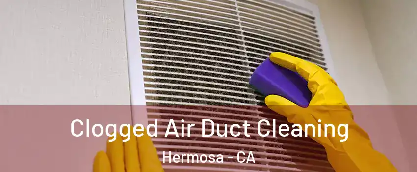 Clogged Air Duct Cleaning Hermosa - CA
