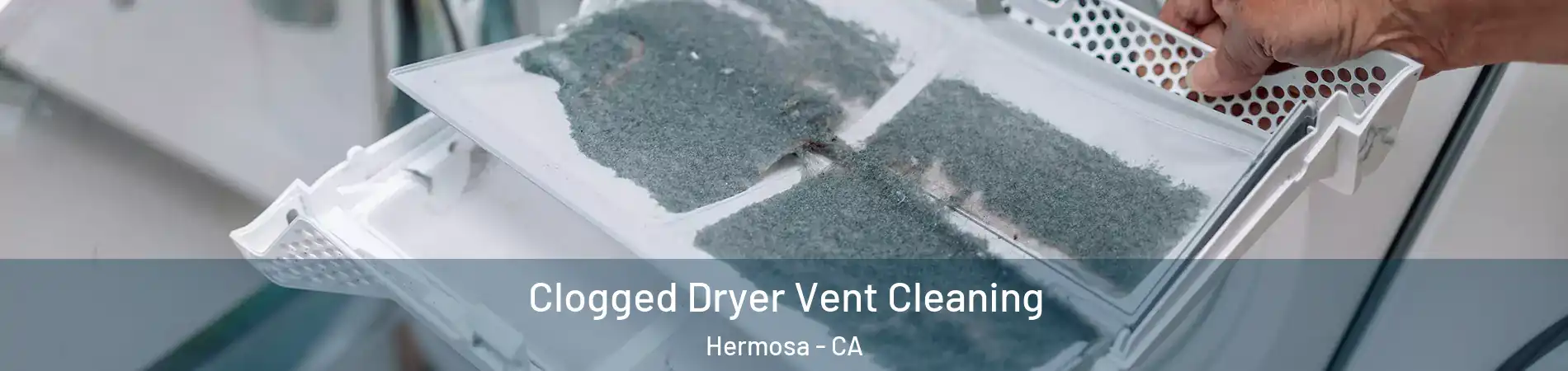 Clogged Dryer Vent Cleaning Hermosa - CA