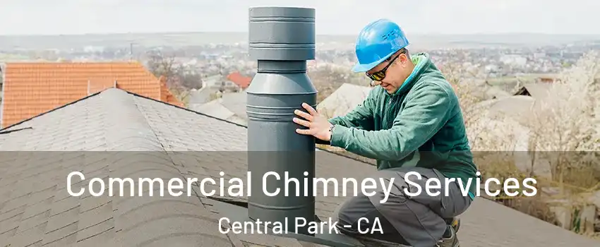 Commercial Chimney Services Central Park - CA