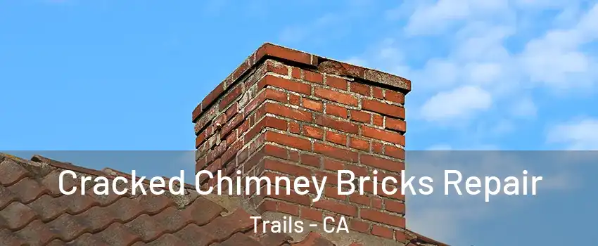 Cracked Chimney Bricks Repair Trails - CA