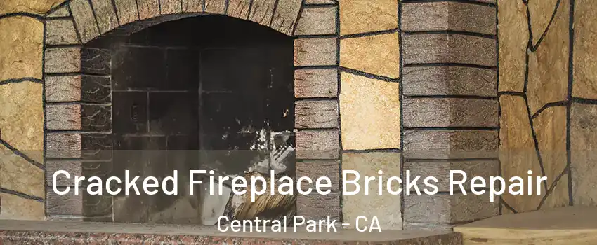 Cracked Fireplace Bricks Repair Central Park - CA